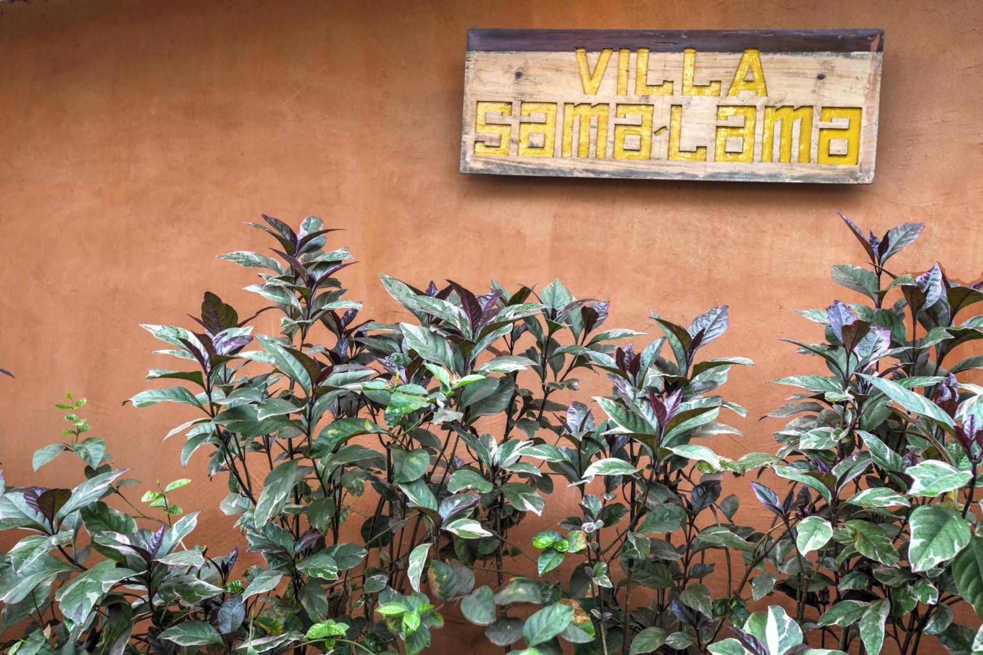 Villas Samalama Gili Air Extérieur photo